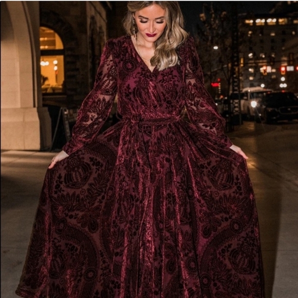 Ivy City Sasha Burnout Velvet Dress NWT - Picture 2 of 8